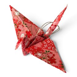 Origami Trane