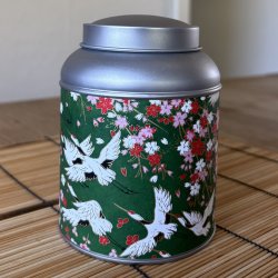 Kitano ted�se
