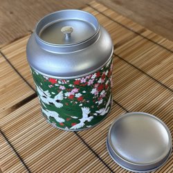 Kitano ted�se