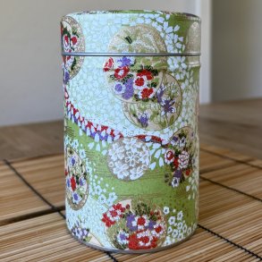 Mikasa ted�se